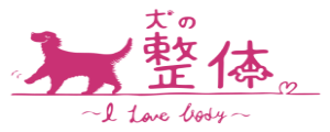 犬の整体